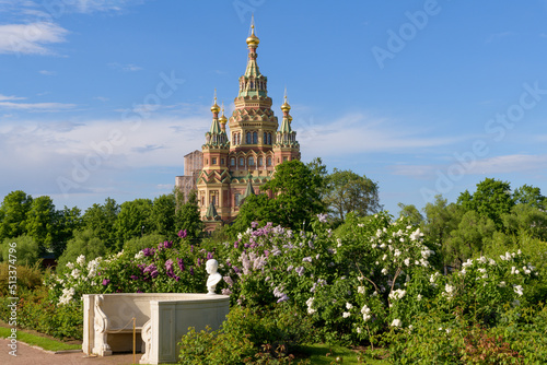 Kolonistsky park in Petergof near Saint-Petersburg, Russia photo