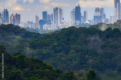 View of Panama City in background on sunny day and green rainforest in foreground