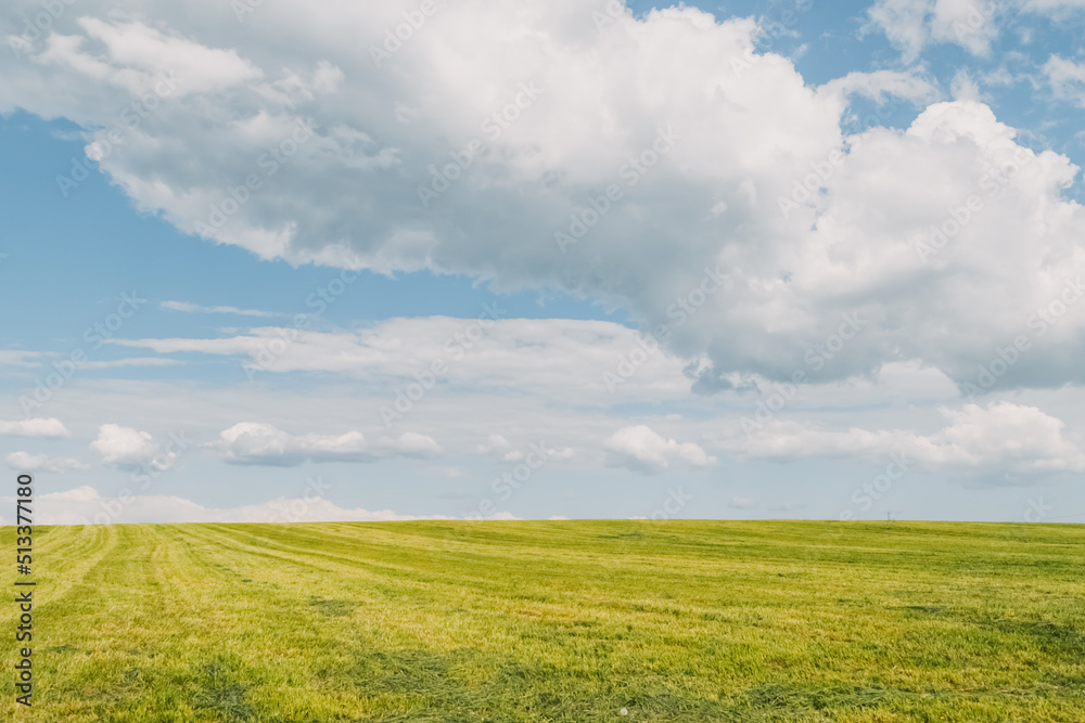 Obraz premium field and blue sky