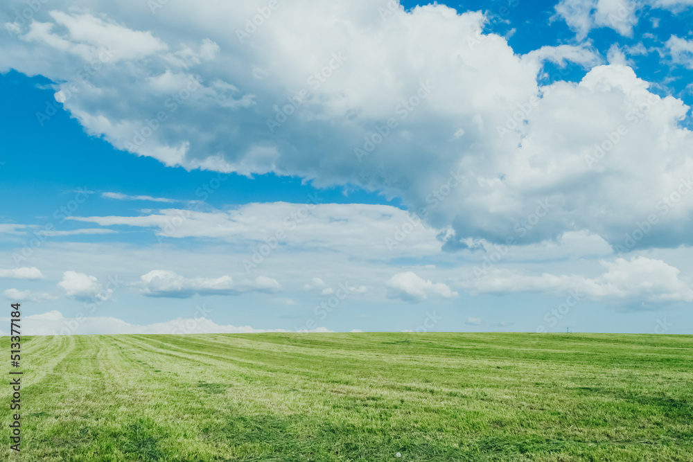 Fototapeta premium green field and blue sky