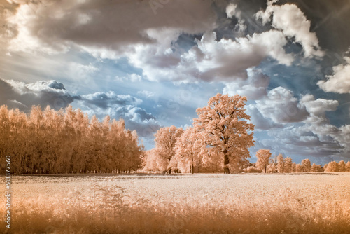 Popcorn fields © Leszek