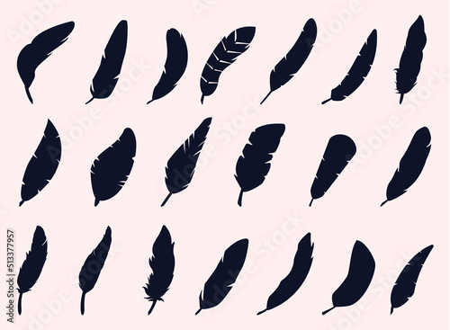Feathers Collection Silhouettes Premium Vectors