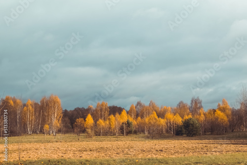 autumn landscape in the forest