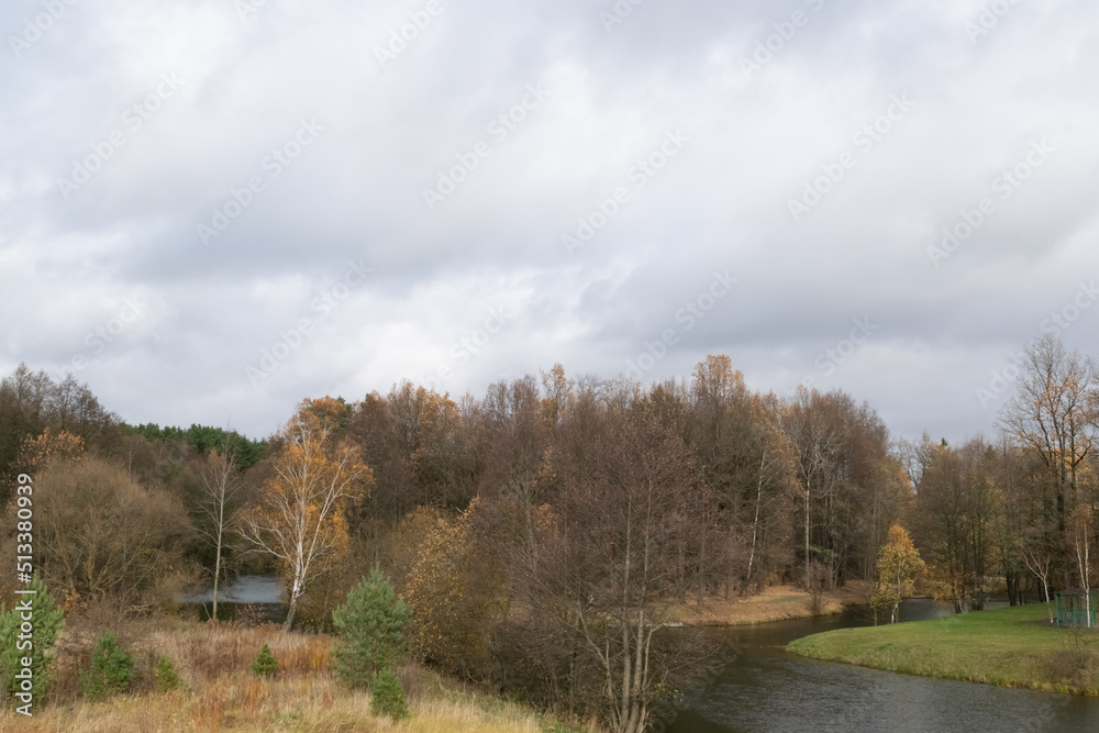 autumn in the forest