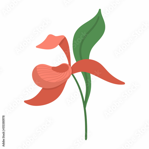 Vector lady slipper icon. Endangered species picture. Orchid isolated on white background. Blooming tropical plant illustration. Floral clipart. Cute flat summer bloom.