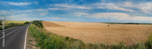 Panoramic view, perspective highway near a field of cereals, hills on a backg...
