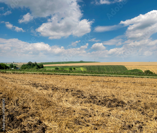 wheat fields, straw stubble in the foreground, hills, green soybeans, on a background of blue sky with clouds