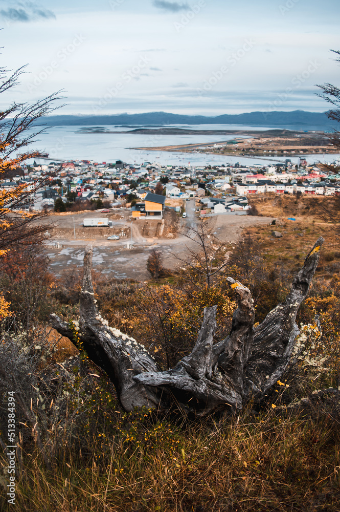 Ushuaia and the Beagle Channel seen from the heights of the mountain