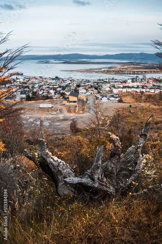 Obraz na płótnie Ushuaia and the Beagle Channel seen from the heights of the mountain w salonie