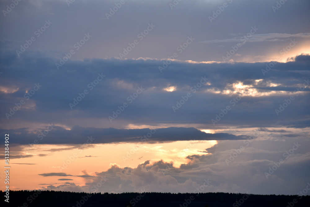 Evening clouds are blue pink and the forest horizon