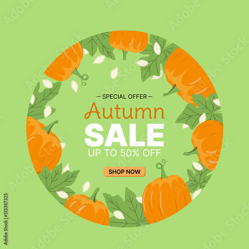 autumn pumpkin frame with leaves and seeds. Flat, vector