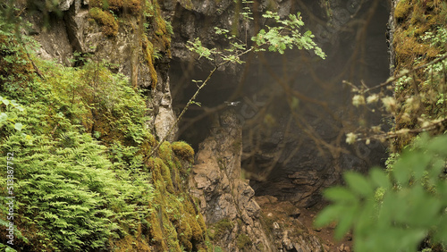 Drone flying outdoors on the summer green forest background. Stock footage. Quadcopter flying in front of steep rock in the forest.