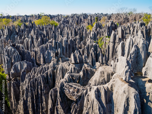 Panoramic view of karst limestone formations in Tsingy de Bemaraha National Park, Madagascar

