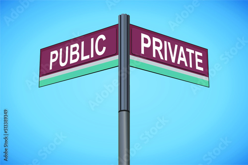 Standing at the Crossroads of Public and Private: A Metaphorical Journey Through Identity, Transparency, and Power, Where Choices Shape Influence, Accountability.