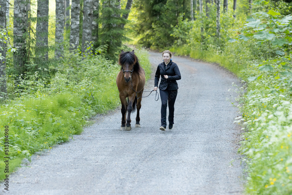 Icelandic horse on gravel road with young woman. Shot in the evening middle of the summer in Finland Icelandic horse on gravel road with young woman. Shot in the evening middle of the summer in Finland