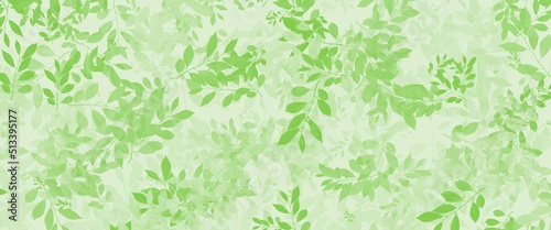 green grass background