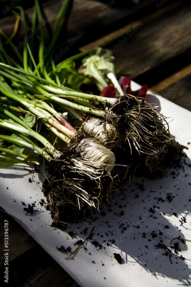 Naklejka premium La Huerta