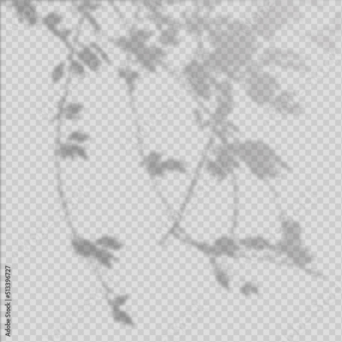 Realistic Vector transparent overlay blurred shadow of branch leaves. Design Element for Presentations and Mockups. Overlay Effect of Tree Shadow.