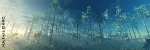 Forest in the morning in the rays of the rising sun, forest in the fog on a hill, park in the morning in the sunlight, 3d rendering