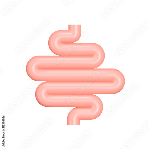 Intestine 3d icon. Guts. Small intestine. Isolated object on a transparent background