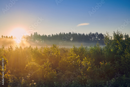 Summer colorful sunrise over the meadow with fog and dew on the grass. Meadow lush grass in morning sun light. Country landscape.