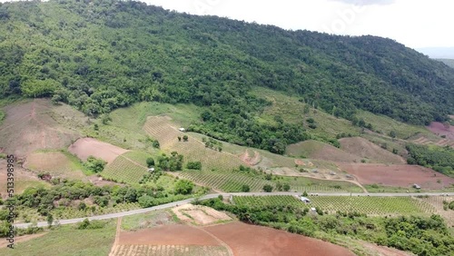 rice terraces in island