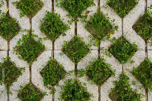 Mesh ecological coating for parking cars made of concrete blocks with the inclusion of green lawn grass