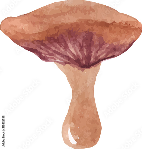 watercolor mushroom with wavy cap vector isolated hand drawn