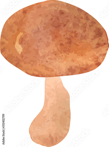 watercolor mushroom with wavy cap vector isolated hand drawn
