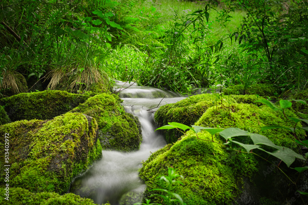 Long time exposure of a stream Long time exposure of a stream