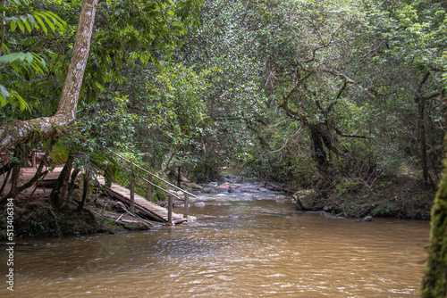 sunny lake formed after waterfall
