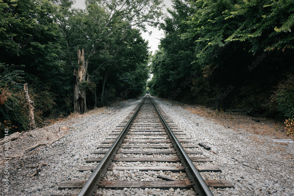 railway in the forest