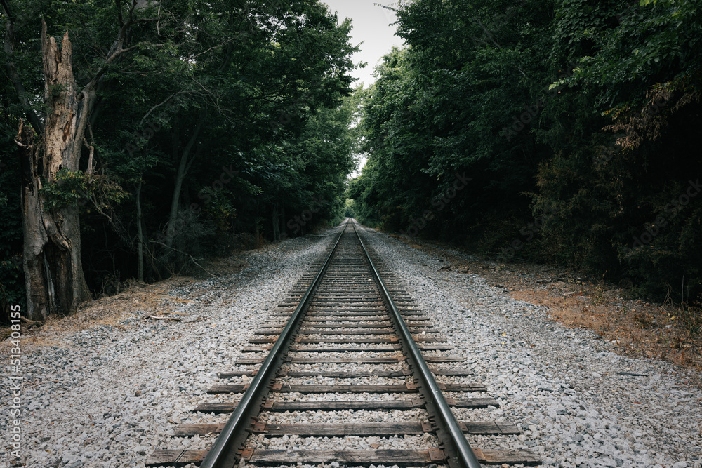 railway in the woods