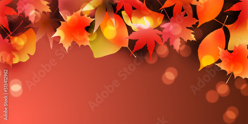 紅葉　もみじ　秋　背景