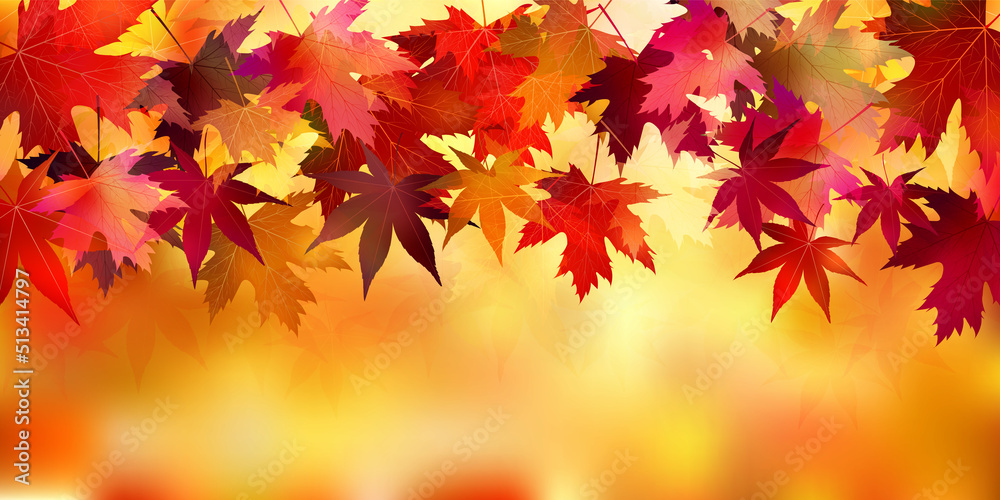 紅葉 もみじ 秋 背景 紅葉 もみじ 秋 背景