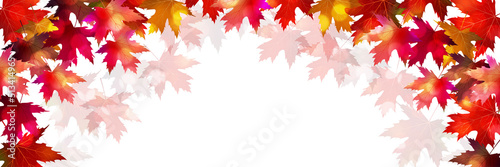 紅葉　もみじ　秋　背景