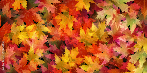 紅葉　もみじ　秋　背景