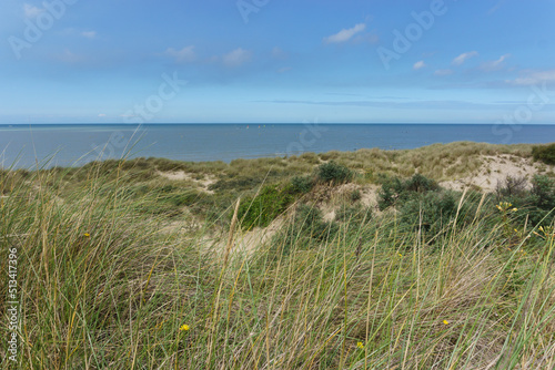 Fototapeta Naklejka Na Ścianę i Meble -  dune landscape at North Sea with green grass and vegetation, Bray-Dunes, France