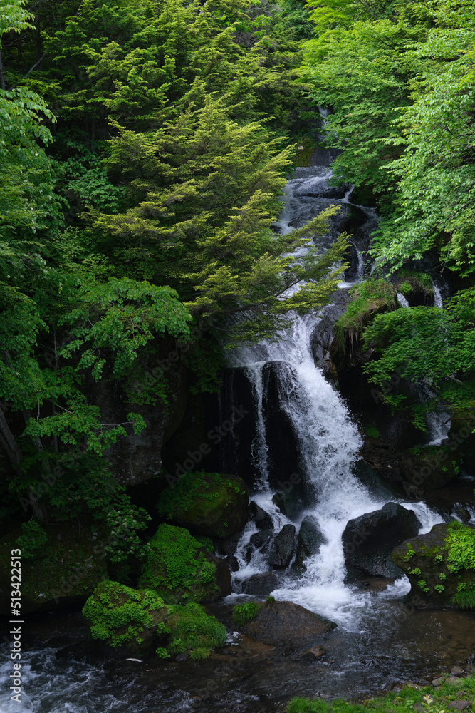 竜頭の滝