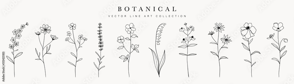 Wild flowers vector collection.  herbs, herbaceous flowering plants, blooming flowers, subshrubs isolated on white background. Hand drawn detailed botanical vector illustration. - obrazy, fototapety, plakaty 