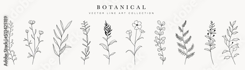 Wild flowers vector collection. herbs, herbaceous flowering plants, blooming flowers, subshrubs isolated on white background. Hand drawn detailed botanical vector illustration.