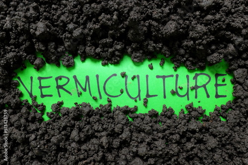 Vermiculture or vermicomposting organic farming concept. Written text word on soil background. photo