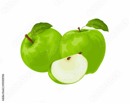 Apple. The image of a green apple in the section. Fresh garden fruit. Vegetarian product. Vector illustration isolated on a white background