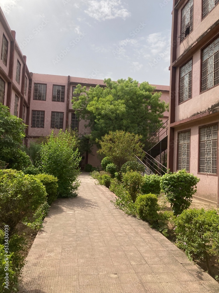 The building of a college with green trees. Location: Jaipur, India Date 03-05-2022