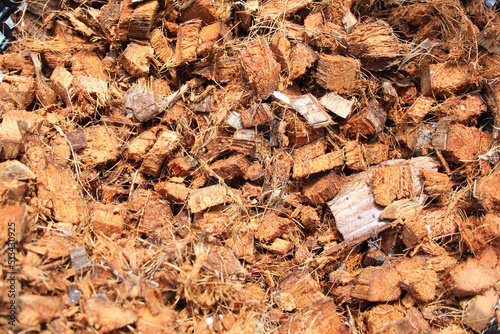 Chopped coconut husks for use as planting material