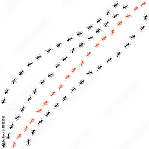 Ants trail set, lines of working ants on white background. Groups of insect marching or walking down the road. Insect colony, control disinfection, vector illustration