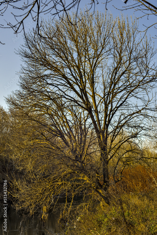 Herbstlicher Wald 2 Herbstlicher Wald 2