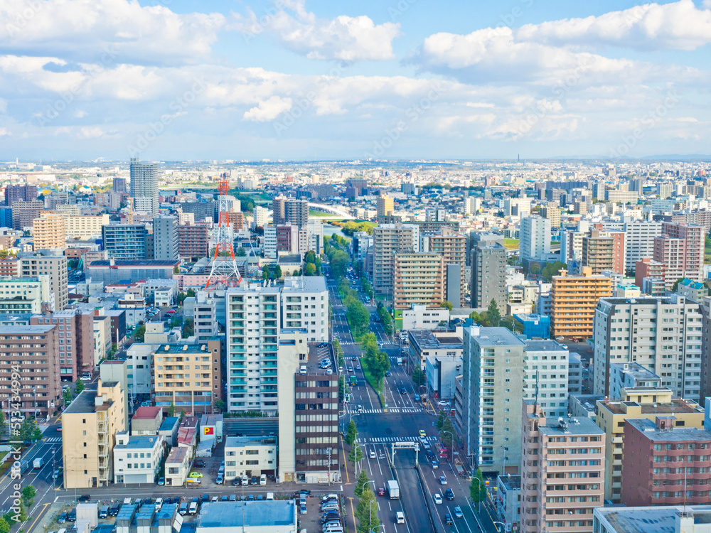 Fototapeta premium The view of Odori park and Sapporo cityscape from the Sapporo Tower.