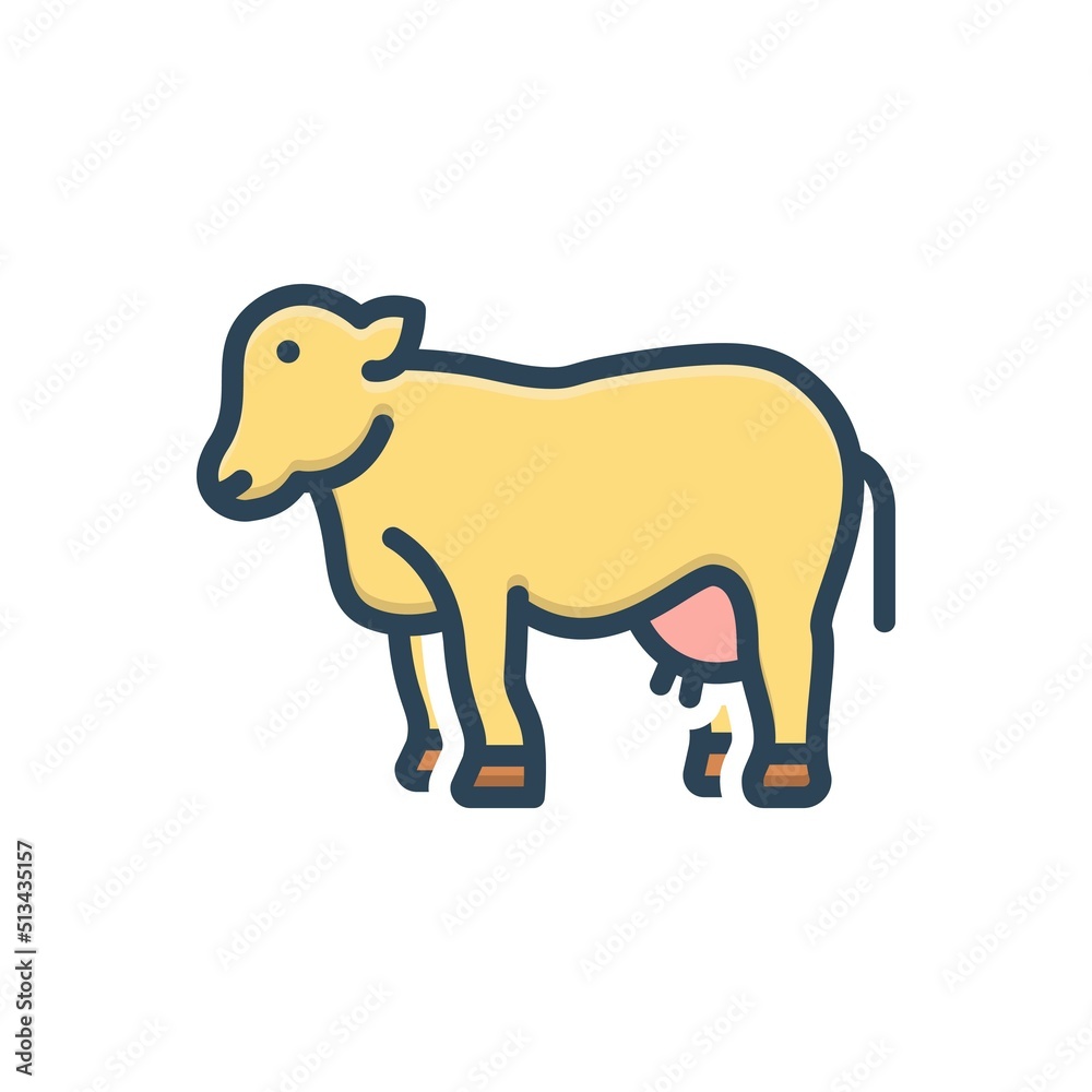 Color illustration icon for cattle