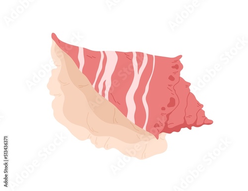 Sea shell. Marine conch, mollusc in seashell. Underwater triton mollusk. Ocean under water shellfish. Exotic beach decoration. Flat vector illustration isolated on white background